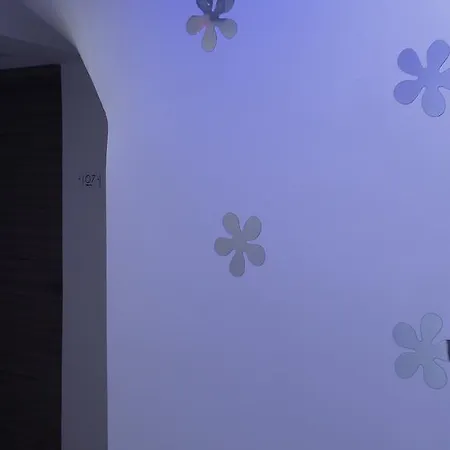 House Roula