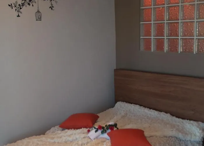 招待所 House Roula 3*