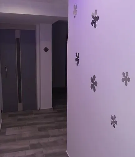 House Roula 招待所 3*