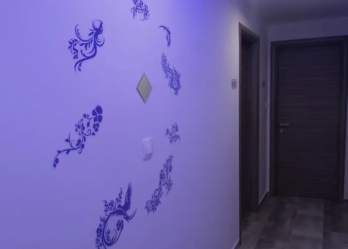 招待所 House Roula